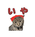 Ti-Ni-Zu（個別スタンプ：13）