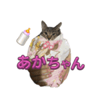 Ti-Ni-Zu（個別スタンプ：22）
