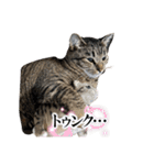 Ti-Ni-Zu（個別スタンプ：28）