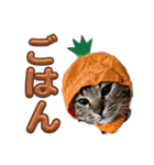 Ti-Ni-Zu（個別スタンプ：30）