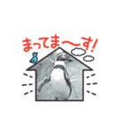 ペンギンだらけ（個別スタンプ：16）