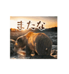 ⚫動く！！ グリズリーベア～クマの逆襲～（個別スタンプ：13）