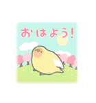 推し鳥 -2- コザクラインコと春うらら（個別スタンプ：1）