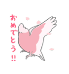 推し鳥 -2- コザクラインコと春うらら（個別スタンプ：6）