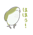 推し鳥 -2- コザクラインコと春うらら（個別スタンプ：11）