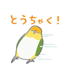 推し鳥 -2- コザクラインコと春うらら（個別スタンプ：28）