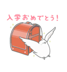 推し鳥 -2- コザクラインコと春うらら（個別スタンプ：31）