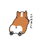 いろんな犬々（敬語）（個別スタンプ：9）