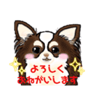 みんと犬軍団（個別スタンプ：39）