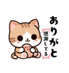 いろんなねこさん。（個別スタンプ：3）