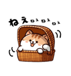 いろんなねこさん。（個別スタンプ：11）