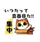 いろんなねこさん。（個別スタンプ：30）