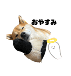 犬のポンタくん（個別スタンプ：6）