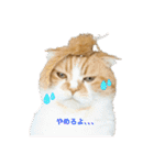 すこてぃっっっしゅ ver2（個別スタンプ：1）