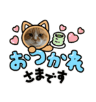 すこてぃっっっしゅ ver2（個別スタンプ：4）
