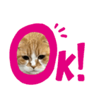 すこてぃっっっしゅ ver2（個別スタンプ：10）