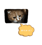 すこてぃっっっしゅ ver2（個別スタンプ：18）