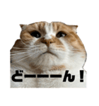 すこてぃっっっしゅ ver2（個別スタンプ：20）