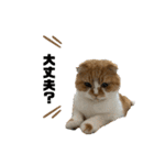 すこてぃっっっしゅ ver2（個別スタンプ：21）