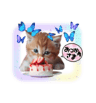 可愛い子猫がケーキ大好きニャン！（個別スタンプ：12）