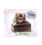 可愛い子猫がケーキ大好きニャン！（個別スタンプ：13）