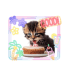 可愛い子猫がケーキ大好きニャン！（個別スタンプ：26）