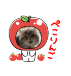 MALUのまったりライフ6（個別スタンプ：1）