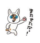 うちの猫らwithフレンズ（個別スタンプ：24）