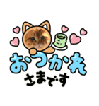 cat/元保護猫スタンプです（個別スタンプ：4）