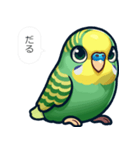 毒舌インコ【煽り,毒舌,うざい,挑発,性悪】（個別スタンプ：1）