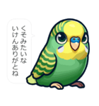 毒舌インコ【煽り,毒舌,うざい,挑発,性悪】（個別スタンプ：24）