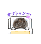 かわ犬スタンプ（個別スタンプ：5）