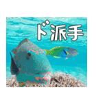 沖縄の魚達大好き12。沖縄行きたい。（個別スタンプ：16）