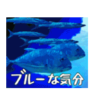 沖縄の魚達大好き12。沖縄行きたい。（個別スタンプ：20）