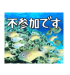 沖縄の魚達大好き12。沖縄行きたい。（個別スタンプ：34）