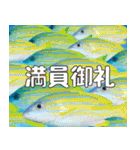 沖縄の魚達大好き12。沖縄行きたい。（個別スタンプ：35）