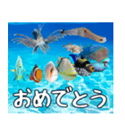 沖縄の魚達大好き12。沖縄行きたい。（個別スタンプ：39）