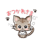 愛猫にゃんこ♡de ♡あいさつ【黒猫】（個別スタンプ：15）