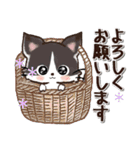 愛猫にゃんこ♡de ♡あいさつ【黒猫】（個別スタンプ：19）