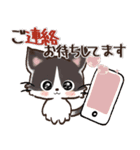 愛猫にゃんこ♡de ♡あいさつ【黒猫】（個別スタンプ：24）