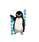 ありきたりペンギン（個別スタンプ：1）