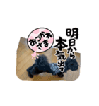 黒犬動くスタンプ（個別スタンプ：7）