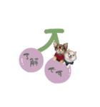 ♡とも様2（個別スタンプ：1）