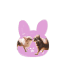 ♡とも様2（個別スタンプ：5）