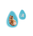 ♡とも様2（個別スタンプ：11）
