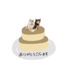 ♡とも様2（個別スタンプ：12）
