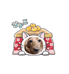 愛犬メッセ（個別スタンプ：8）