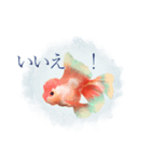 金魚の みわ子さん（個別スタンプ：4）