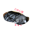 まんまるまるまーる（個別スタンプ：4）