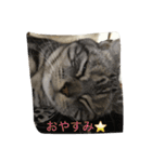 まんまるまるまーる（個別スタンプ：5）